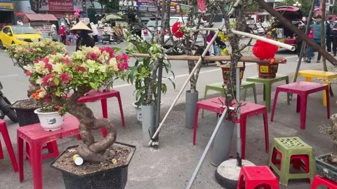 Tet market Video stock 300238021