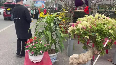 Tet market Stock Footage 300238029