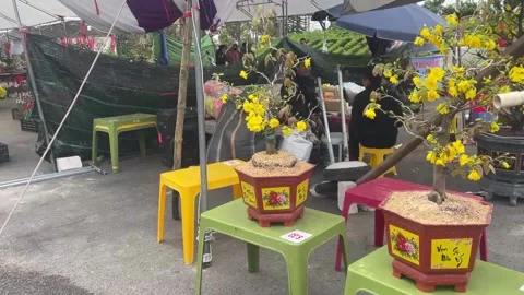 Tet market Video stock 300238033