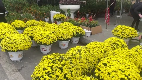 Tet market Stock-Footage 300238083