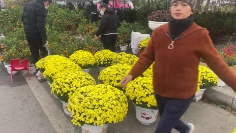 Tet market Stock Footage 300238085
