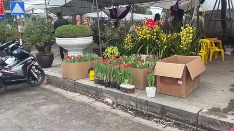 Tet market Video stock 300238090