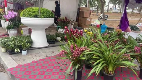 Tet market Video stock 300238122