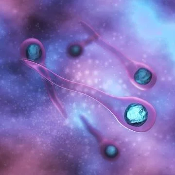 Tetanus Bacteria - in fluid Stock-Illustration