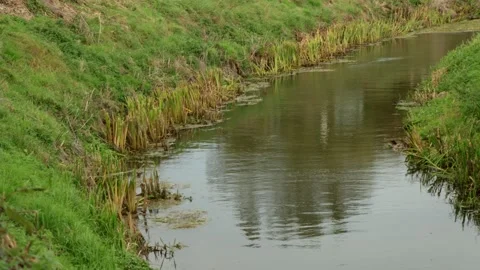 Tetney Lock Field Drainage Stream Stock Footage 252397601