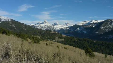 Teton Forest Drone 2 Stockbeeldmateriaal 150844471