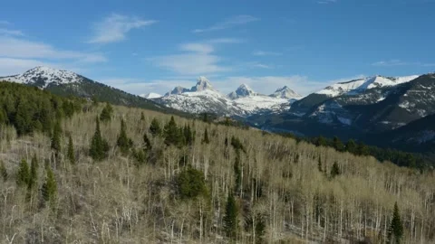Teton Forest Drone Stockbeeldmateriaal 150844478