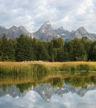 Teton reflection Stock Photos