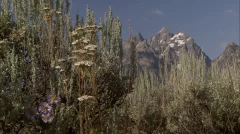 Tetons2 Video stock 22651160