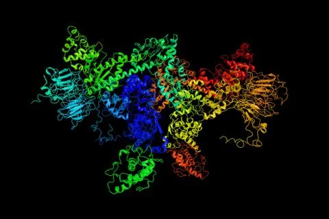 Tetragonal structure of Arp2/3 complex, a seven-subunit protein complex tha.. Stock Illustration