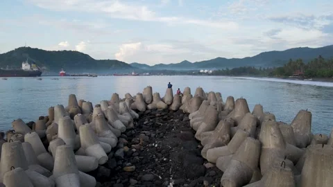 Tetrapod Stock Footage 266964790