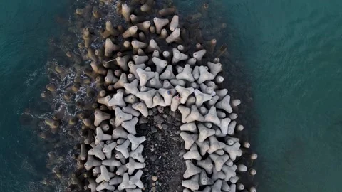 Tetrapod Stock Footage 266964807