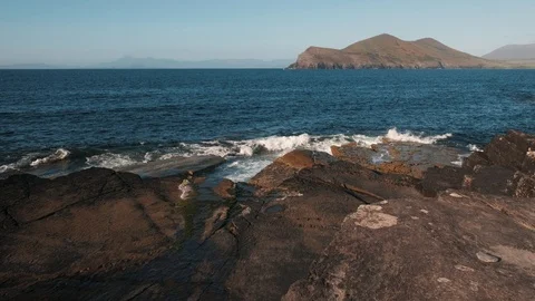 Tetrapod footprints Stock-Footage 115862199