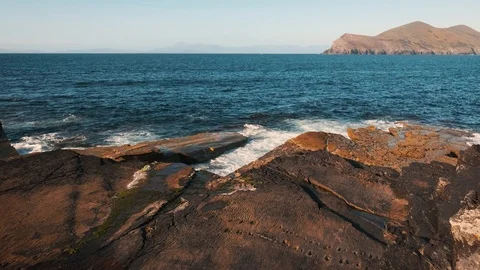 Tetrapod footprints Stock-Footage 115886731
