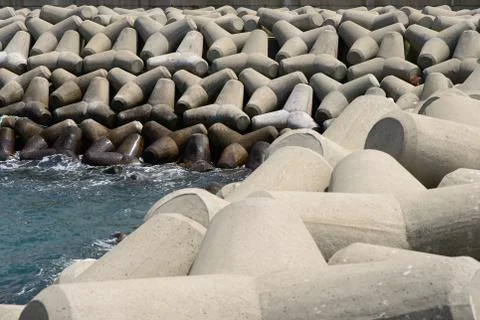 Tetrapod Stock Photos