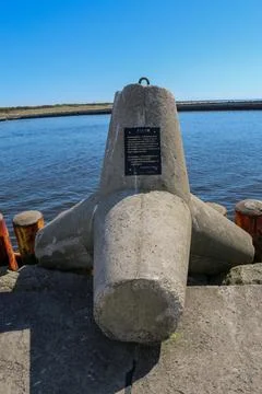 Tetrapod Stock Photos