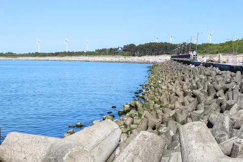 Tetrapods Stock Photos