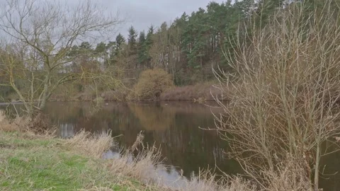 Teviot River with reflections in winter Stock Footage 234581498