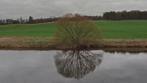 Teviot River winter tree with reflections in river Stock-Footage 234584422