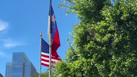 Texas and American flags 動画素材 273236754