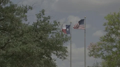 Texas and US flag waving in the wind Stock Footage 80969305