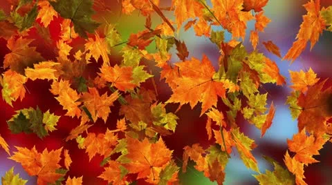 Texas autumn Видео 12050128