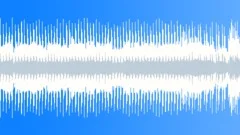 Texas Blues (Loop 2)Stock Music