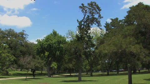 Texas Capitol building 1 Stock Footage 25542972