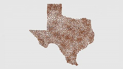 Texas Coffee Beans Stock Footage 148009979