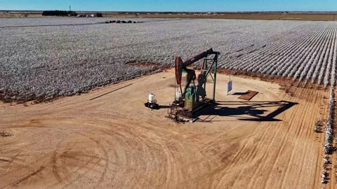 Texas Cotton Oilfield Stock Footage 321436401