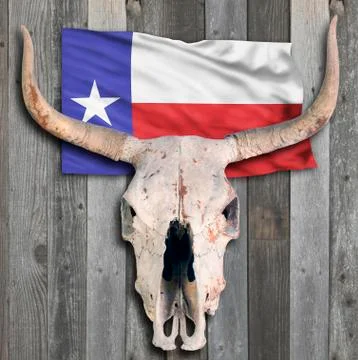 Texas Cow Skull. Stock Photos