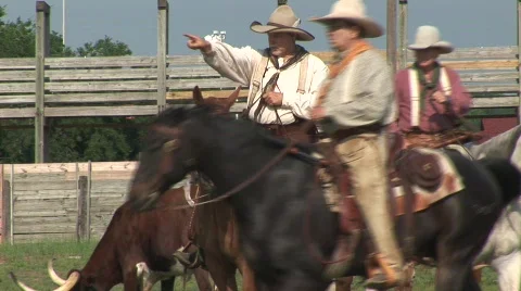 Texas cowboys Stock Footage 537765
