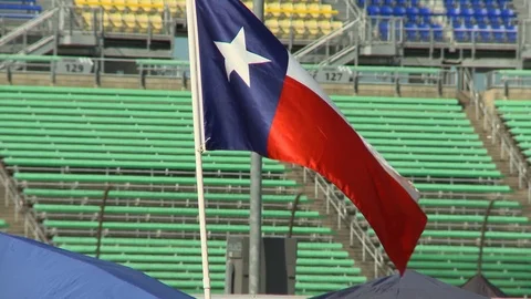 Texas Flag 2 Stock Footage 95566364