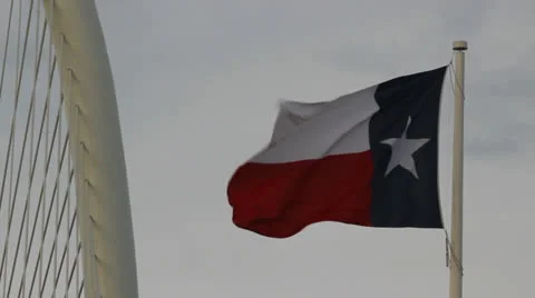 Texas Flag and Bridge 2 Stockbeeldmateriaal 25520667
