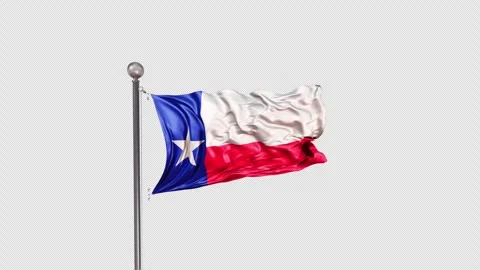 Texas Flag  Animation Loop Include Alpha 3D Rendering Stock-Footage 312109686