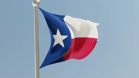 Texas flag on flagpole. TX flag fluttering in the wind. USA. Stock-Footage 170659832
