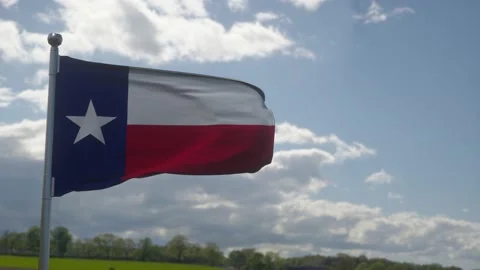 Texas flag on a flagpole waving in the wind, blue sky background Stock Footage 201213060