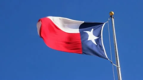 Texas Flag fluttering Video stock 21330558