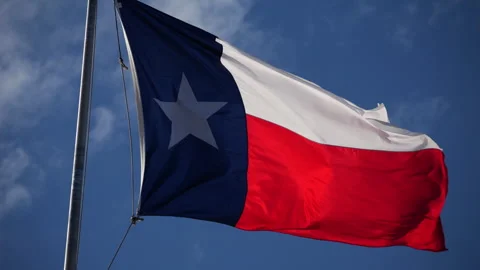 Texas Flag flying in wind Stock Footage 318987775
