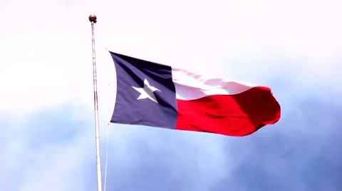 Texas Flag Stock Footage 8648510