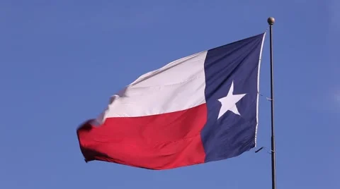Texas flag 库存影片 62416872