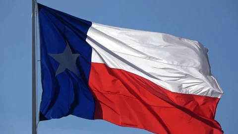 Texas flag full 4k Stock Footage 82756896