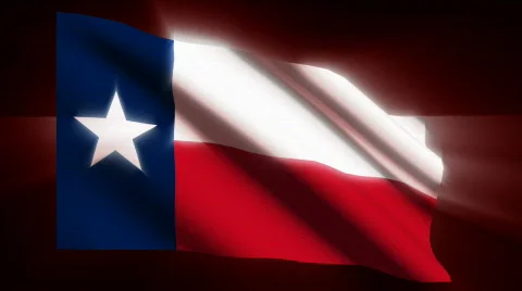 Texas Flag - HD LOOP Stock Footage 628534