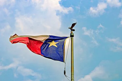 Texas flag Foto stock