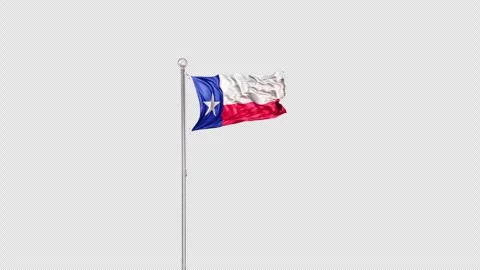 Texas   Flag Pole  Animation Include Alpha 3D Rendering Stock-Footage 312109244