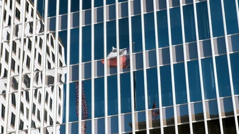 Texas flag is reflected in modern building windows Video stock 122153058