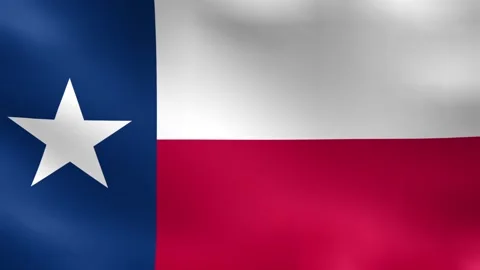 Texas Flag Seamless Looping Background Stock Footage 339287993