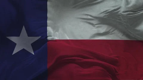 Texas  Flag Slow Motion Cloth Animation -3D Rendering Stock-Footage 281081553