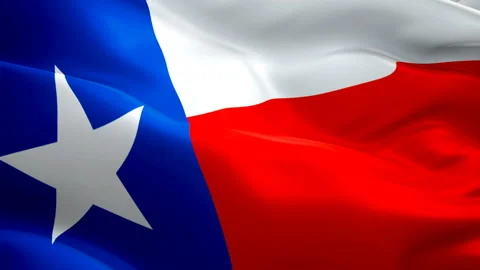 Texas flag video waving in wind. Realistic State Flag background. Texas Flag Stock Footage 105026792
