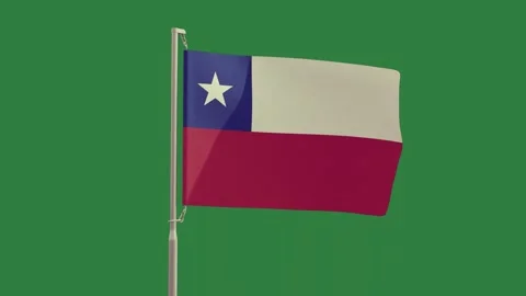 A texas flag waving isolated isolated on green screen background Stock Footage 336890415